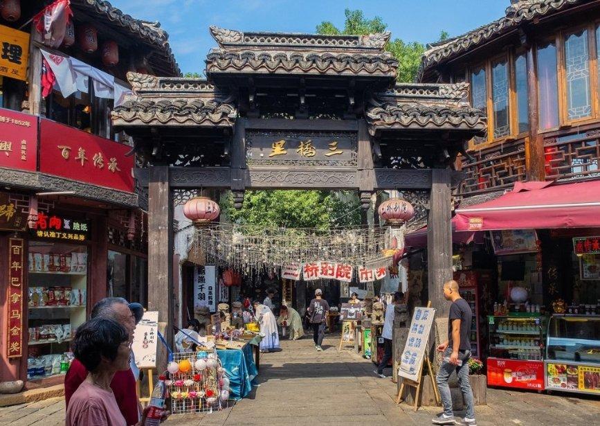 拯救机灵鸟